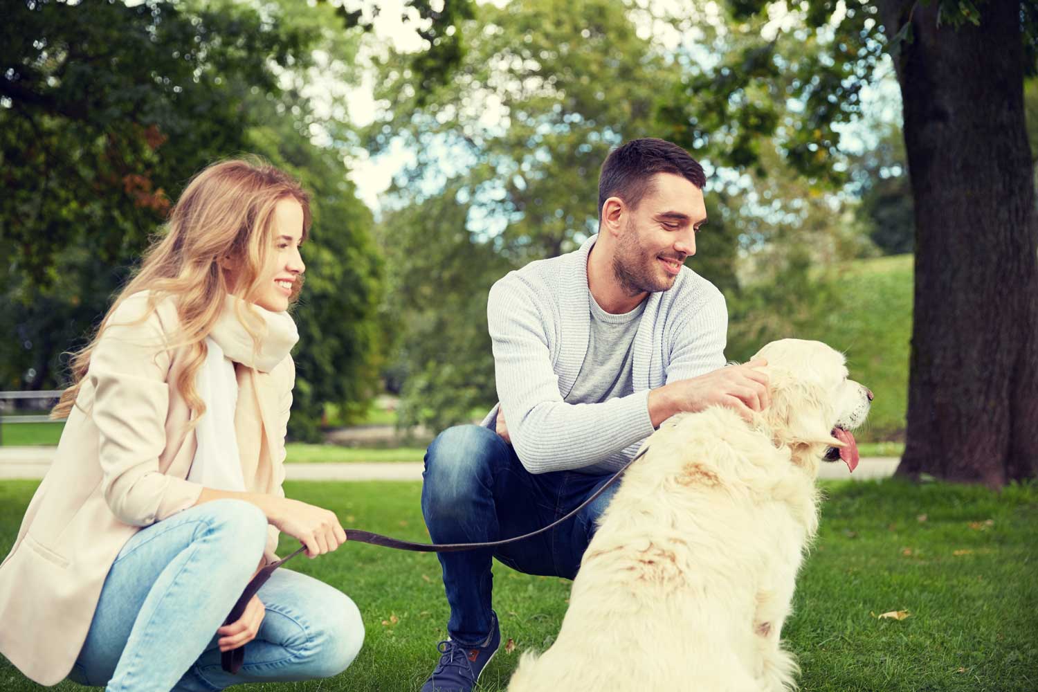 How to Capture the Millennial Market for your Pet Business